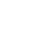 birds image